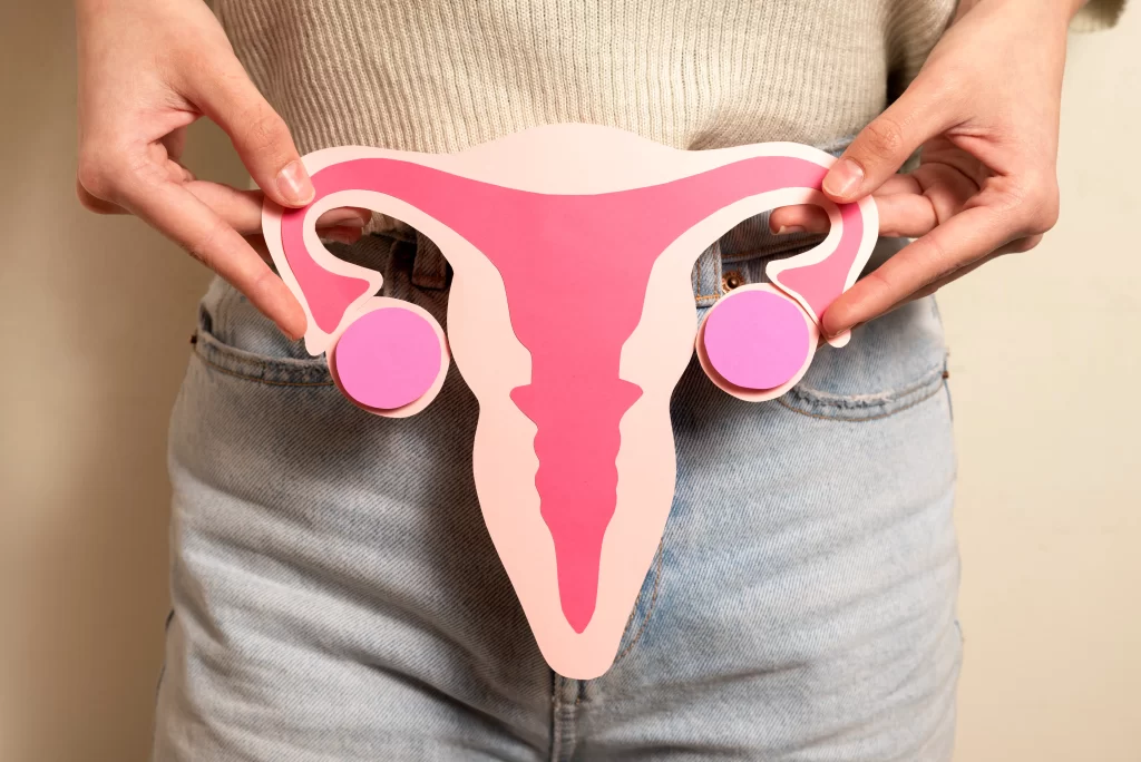 Ilustración del sistema reproductivo femenino utilizada para educar sobre el cáncer de ovario